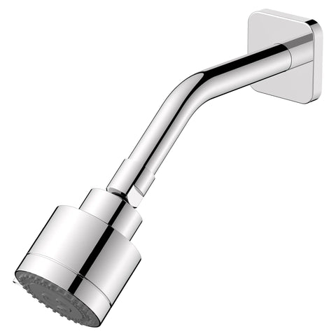 Multifunction Showerhead