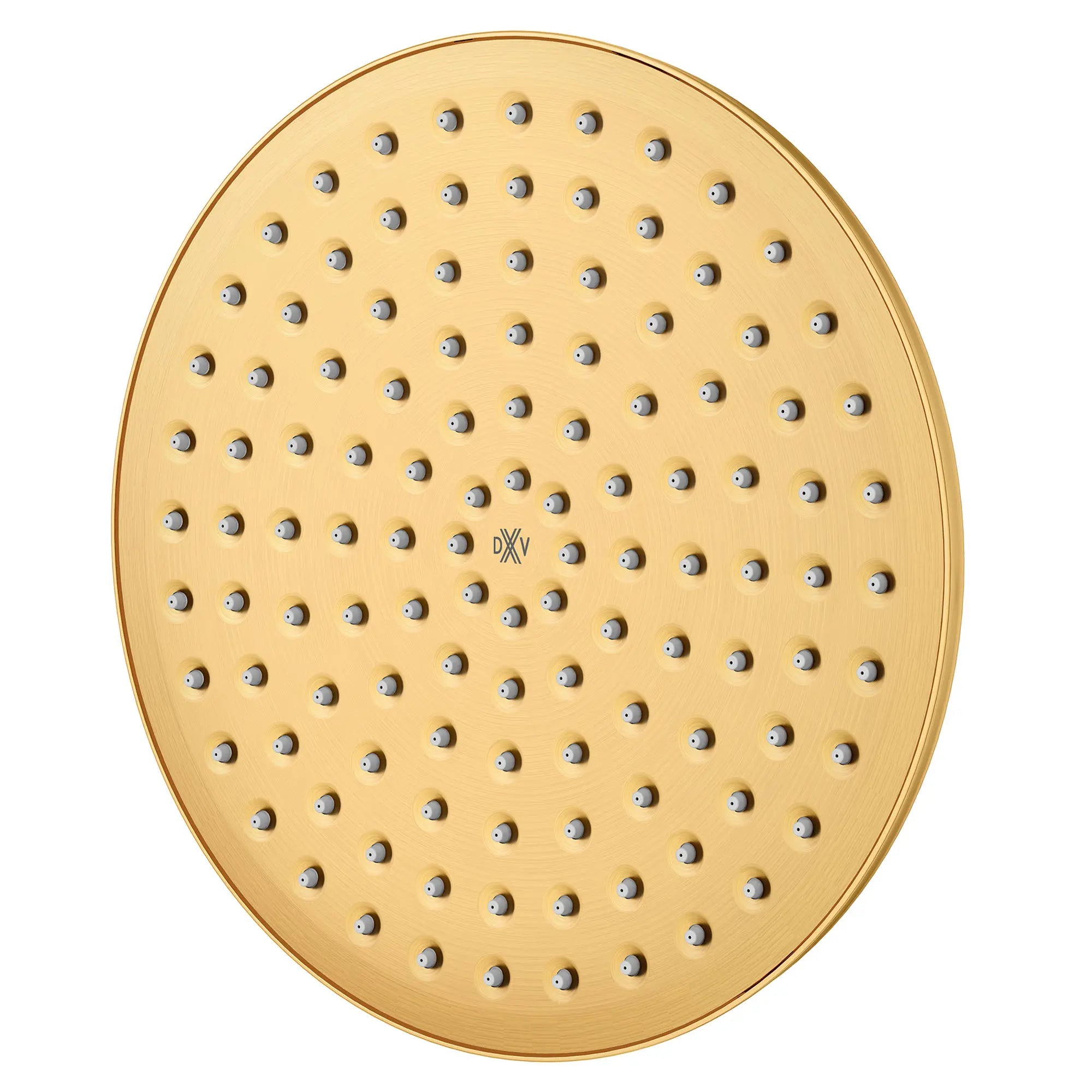 Oak Hill® Single Function 10 in. Round Rain Can Showerhead // SATIN BRASS // 159894_D35155110.427_2_0_CDNwebp.webp