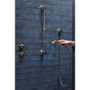 [D35160780.150] Fitzgerald Personal Hand Shower Set with Adjustable 24 in. Slide Bar - Platinum Nickel