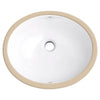 Bowen® Oval Sink // CANVAS WHITE // 90390_D00495221.415_CDNwebp.webp