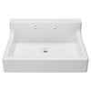 Oak Hill® 30 in. High-Back Sink, 2-Hole // CANVAS WHITE // 91331_D20155002415_CDNwebp.webp